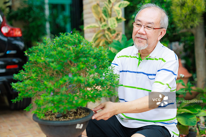 一位亚洲老年男性在退休后，在家中花园享受照料树木的乐趣，突显了户外休闲、健康老龄化以及通过园艺活动促进老年人福祉与自然之间联系的美好。图片素材