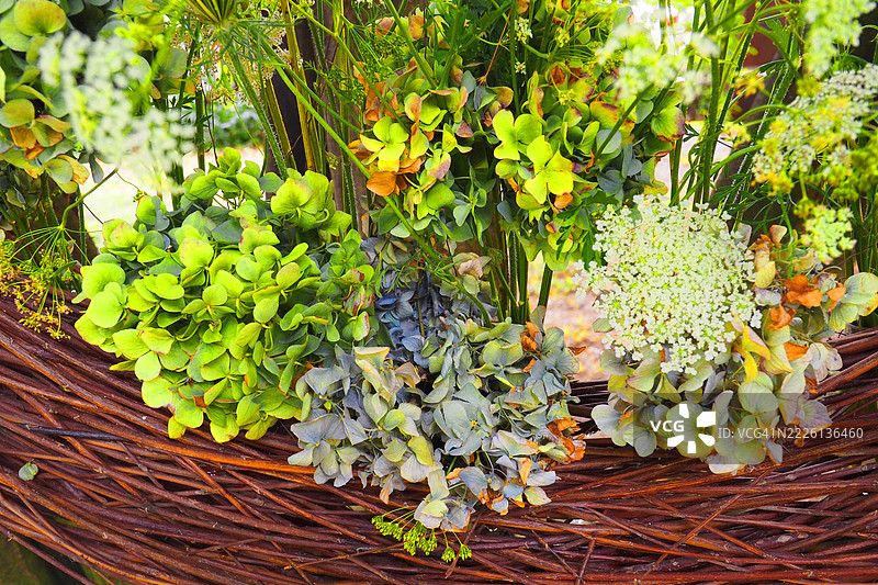 干燥绣球花的花艺排列特写图片素材