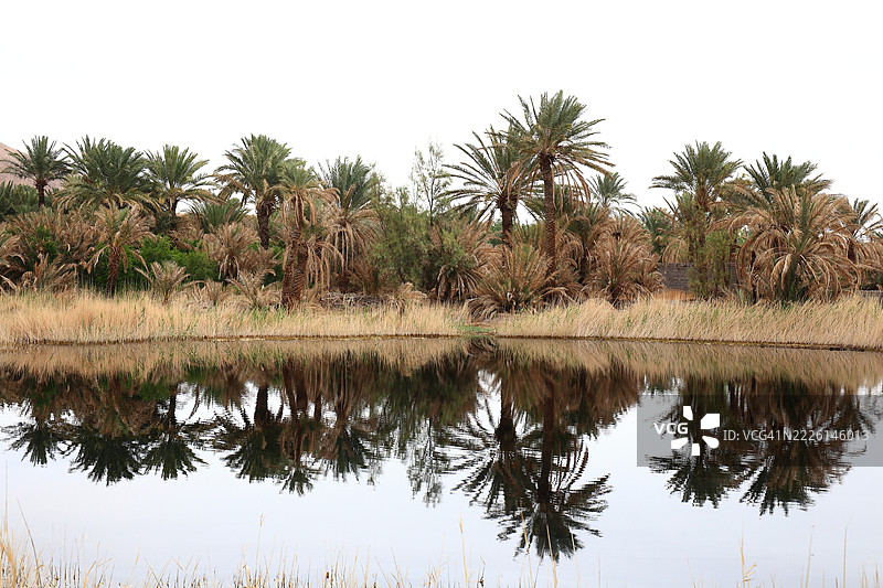 加尔梅h图片素材