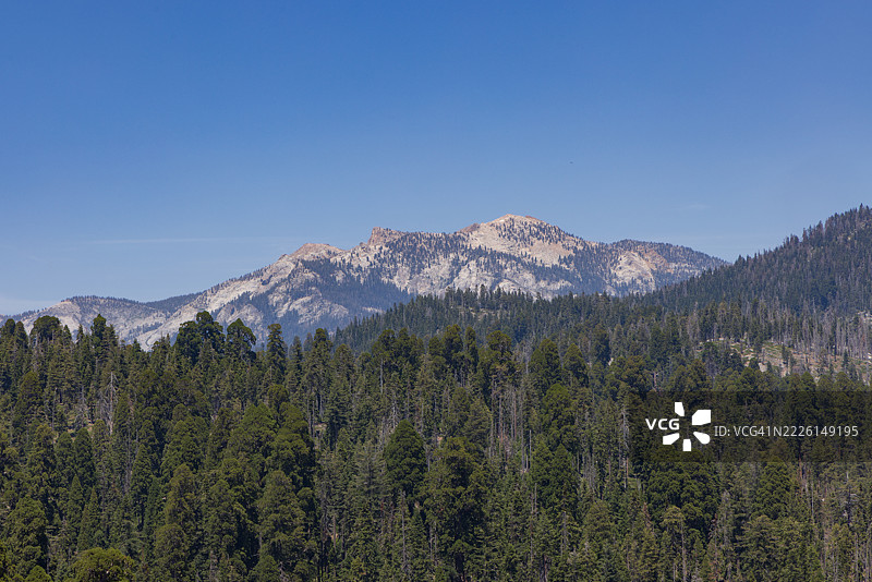 夏季的红杉国家公园图片素材