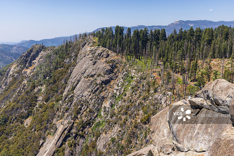 夏季的红杉国家公园图片素材