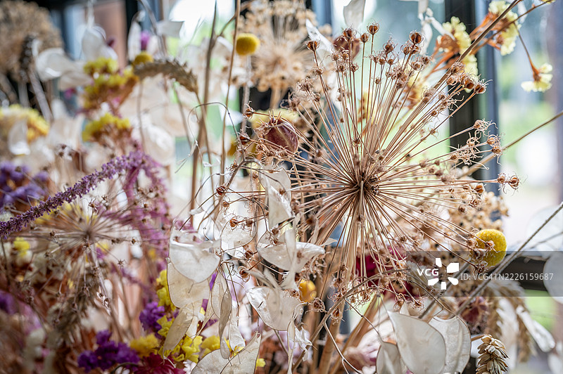 干燥的夏季花朵图片素材