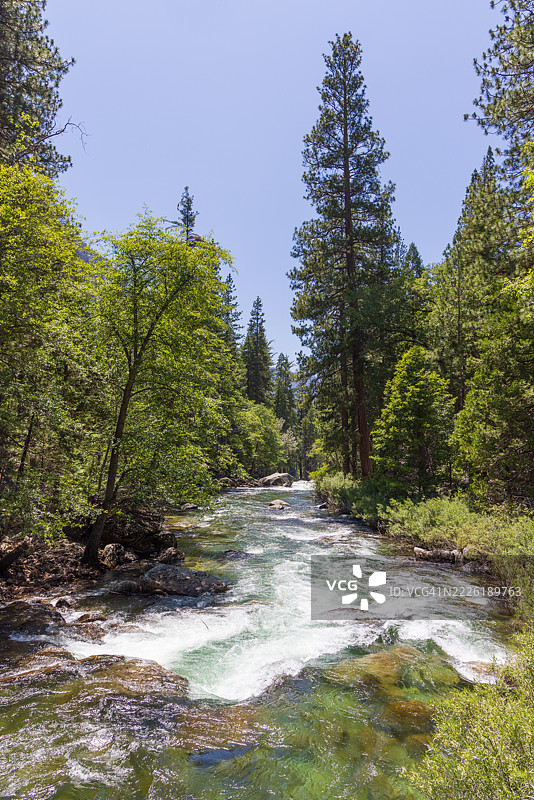国王峡谷国家公园的花岗岩悬崖和森林图片素材