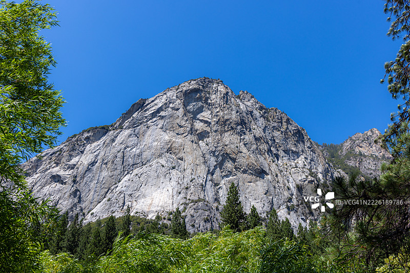 国王峡谷国家公园的花岗岩悬崖和森林图片素材