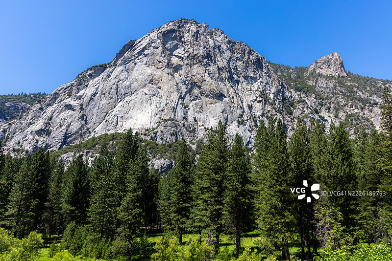 国王峡谷国家公园的花岗岩悬崖和森林图片素材