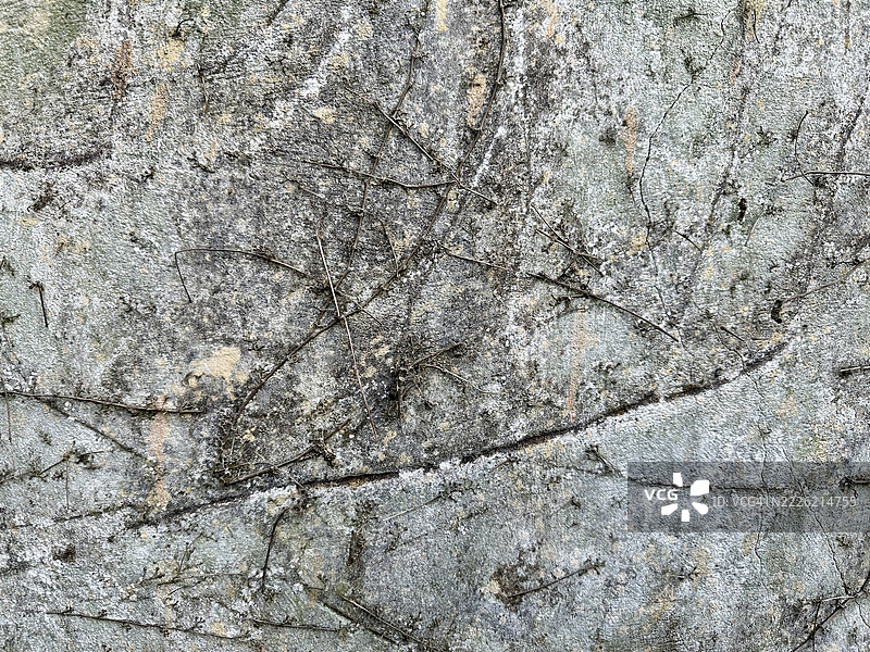 美丽的墙面背景图片素材