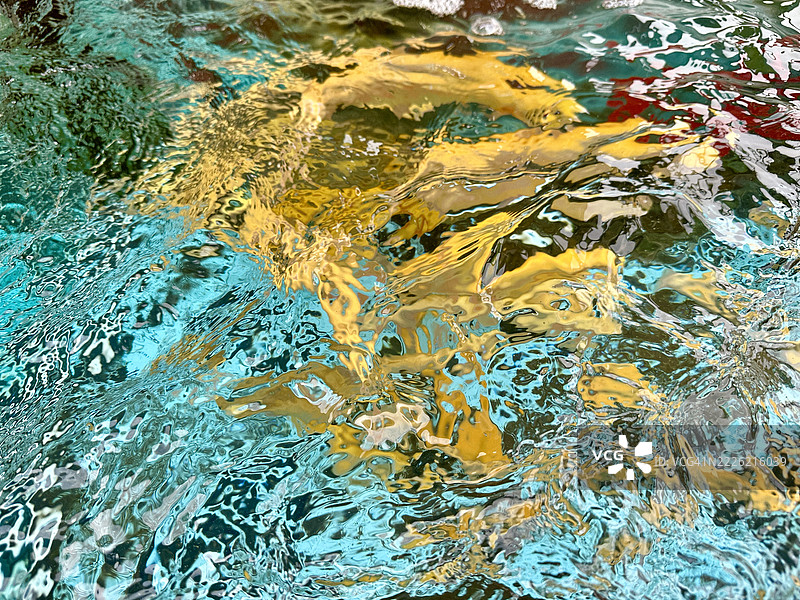 水中美丽的鱼类图片素材