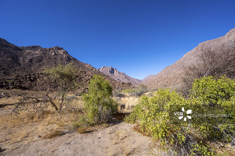 Tsisab峡谷，白女士小径，沙漠景观，布兰德堡，埃龙戈，达马拉地区，纳米比亚图片素材