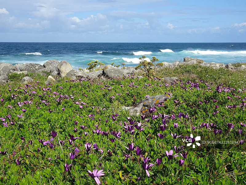 海洋与多云天空的美丽景色，加拿大图片素材