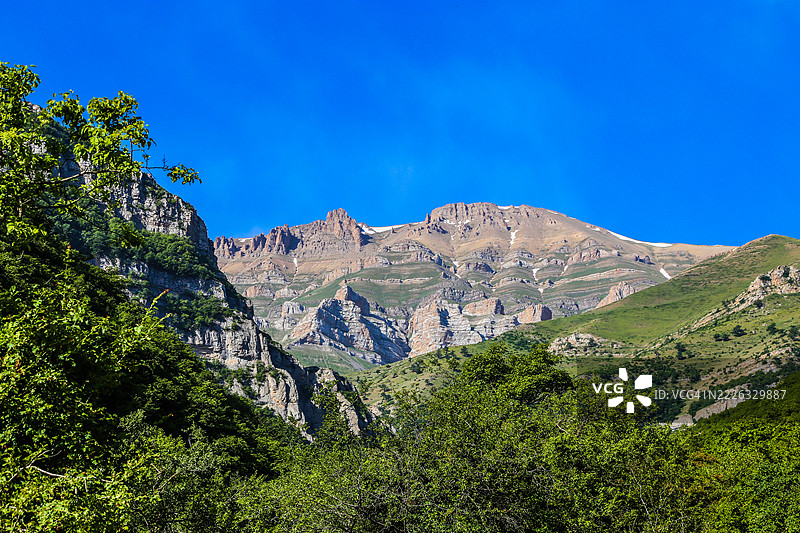 低角度视图的树木与蓝天，马赞达兰，伊朗，希腊图片素材