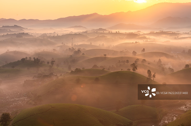 越南富寿省龙 Coc 茶山的日出图片素材