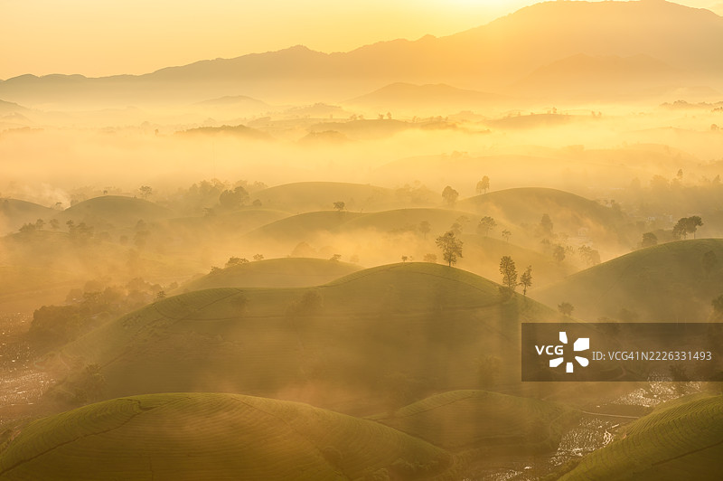 越南富寿省龙 Coc 茶山的日出图片素材