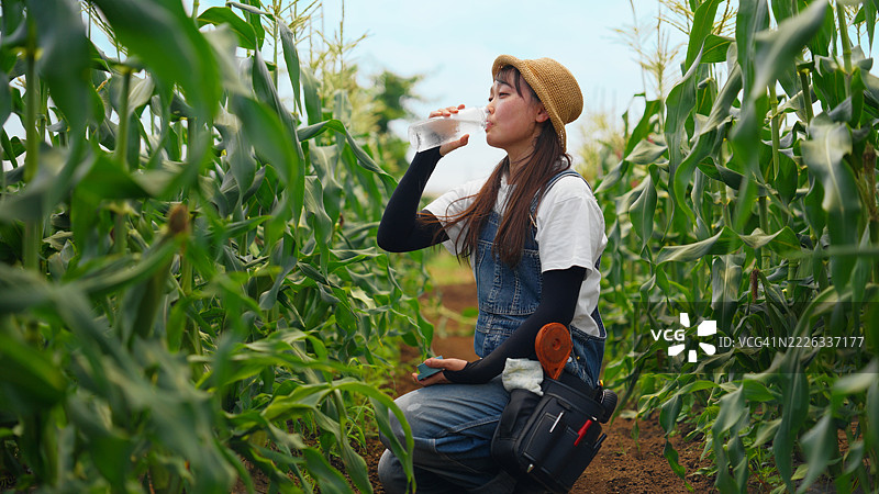 女性农民在农田中感到酷热，天气异常炎热图片素材