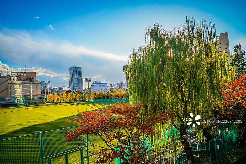 秋天的落叶与扩展的运动场，日本图片素材