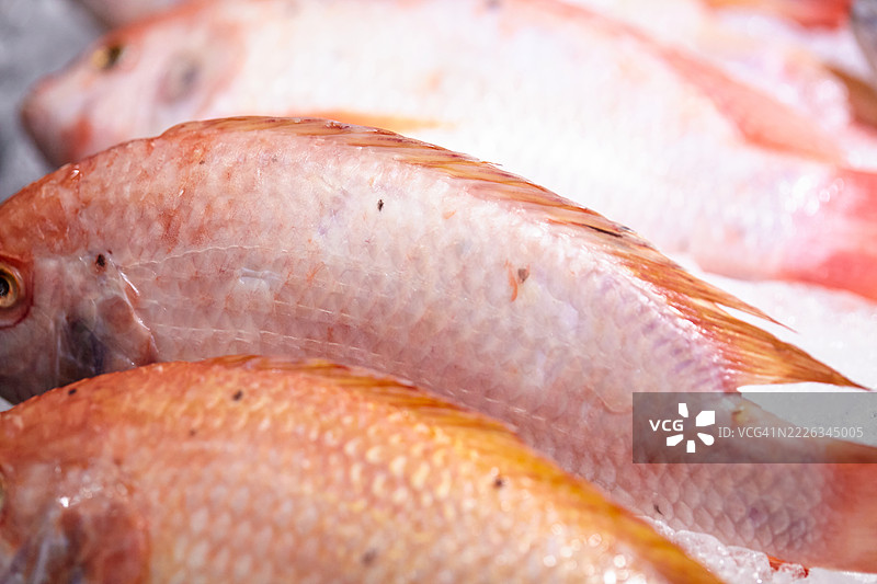 曼谷市场出售的红色罗非鱼特写图片素材