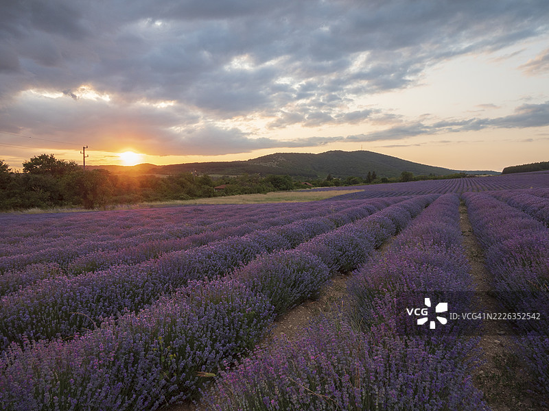 日落时分，斯雷德诺·格拉迪什特的田野与天空的美丽景色，斯塔拉扎戈拉，保加利亚图片素材