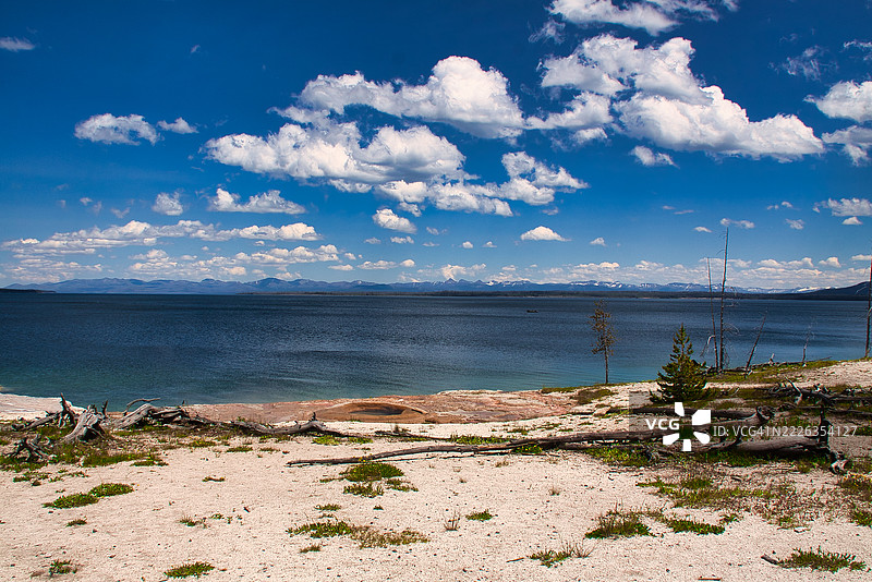 黄石公园夏季的风景，加州卡宾特里亚，美国图片素材
