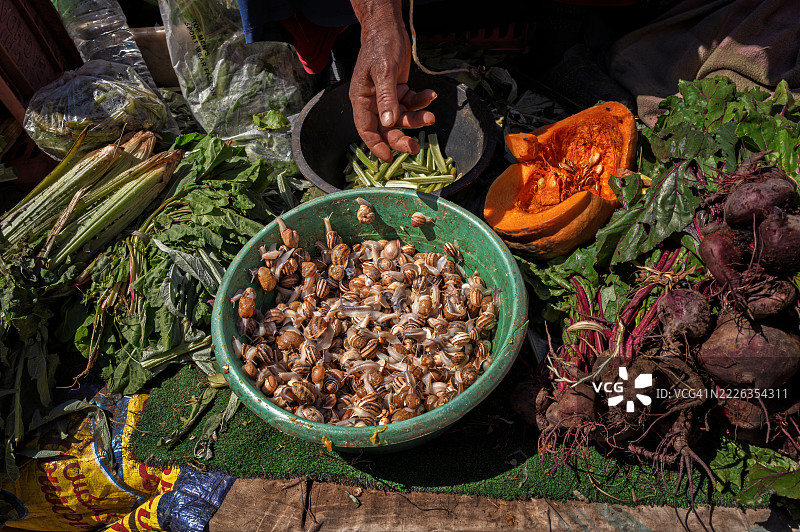 摩洛哥非斯的海娜市场中的活蜗牛碗图片素材
