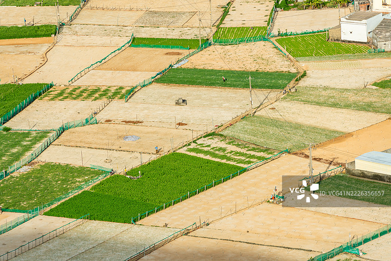 Cu Lao Re或黎山岛或火山岛，广义，越南图片素材