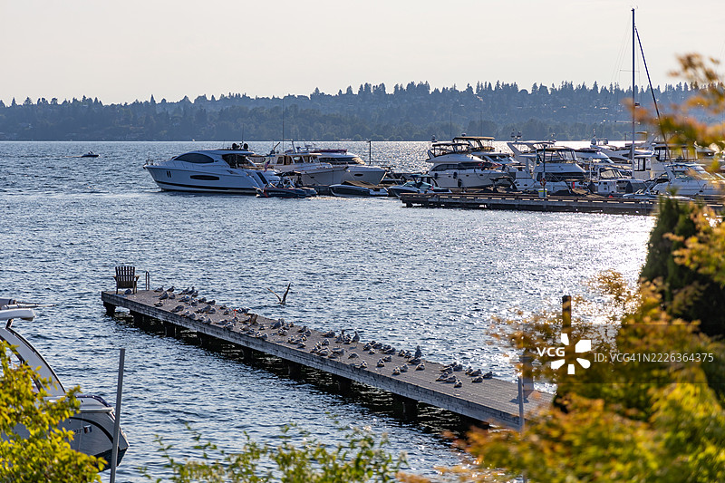 华盛顿州柯克兰的海洋与天空的美丽景色图片素材