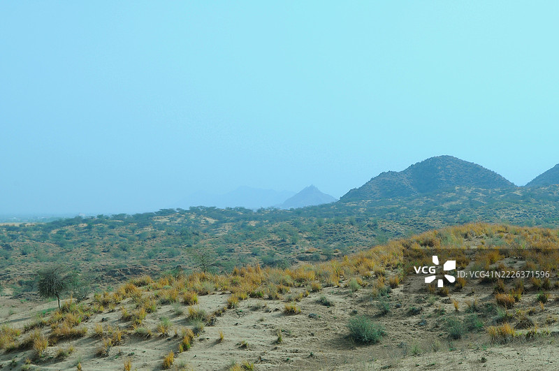 拉贾斯坦邦普什卡尔清澈蓝天下的风景如画的景观图片素材