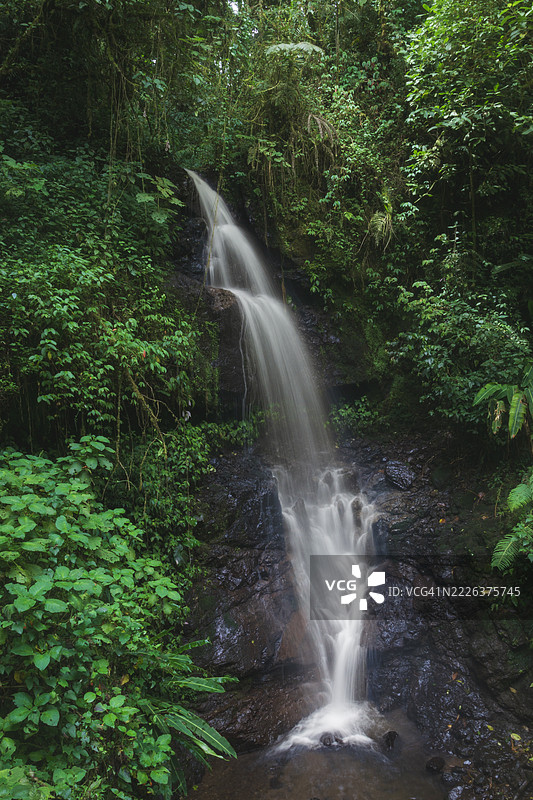 哥斯达黎加卡塔戈森林中的瀑布景观图片素材