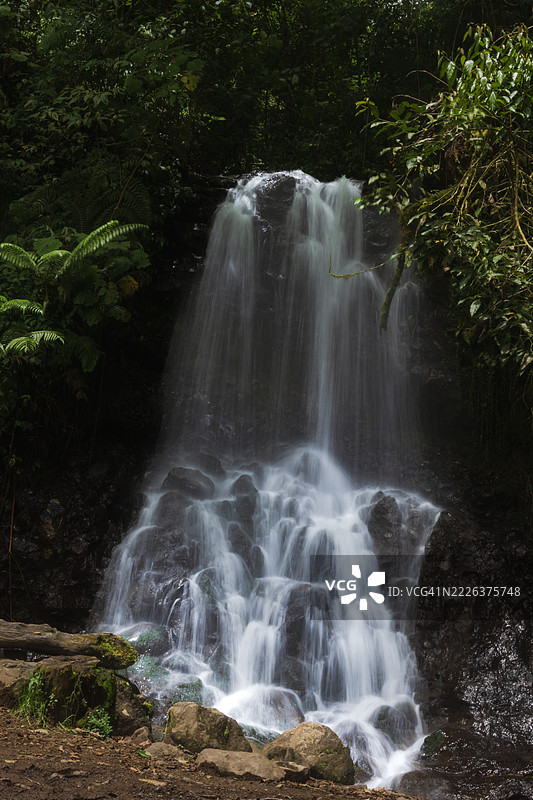 哥斯达黎加卡塔戈森林中的瀑布景观图片素材