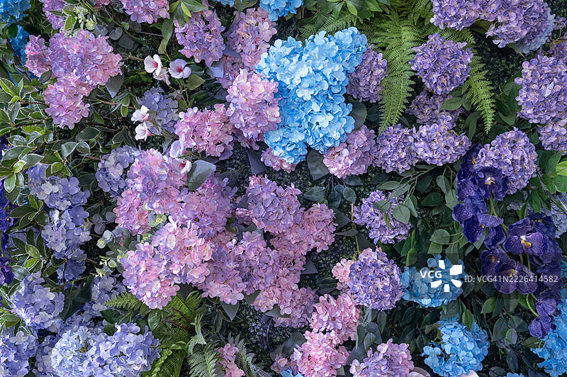 一束五彩缤纷的花朵的全景拍摄图片素材