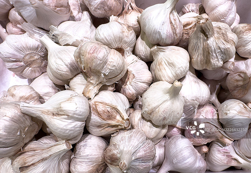 香川县生产的大蒜球图片素材