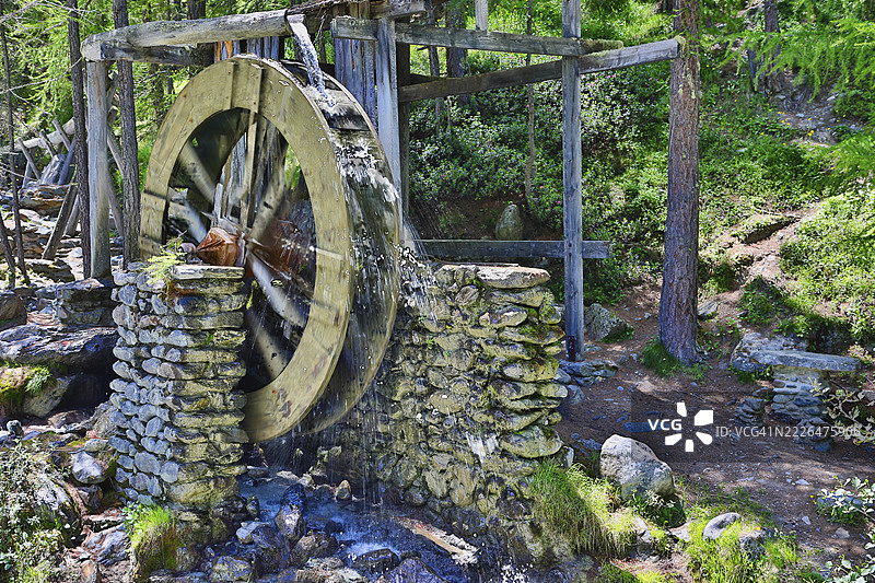 瑞士瓦莱州萨斯费绿色森林中长满苔藓的古老水车特写图片素材