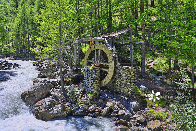 瑞士瓦莱州萨斯费森林中的古老水车，旁边是一条奔流而过的河流，四周环绕着绿色自然。图片素材