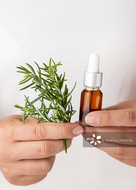 女性手握着小滴管油瓶和新鲜的绿色迷迭香枝，布林迪西，普利亚，意大利图片素材