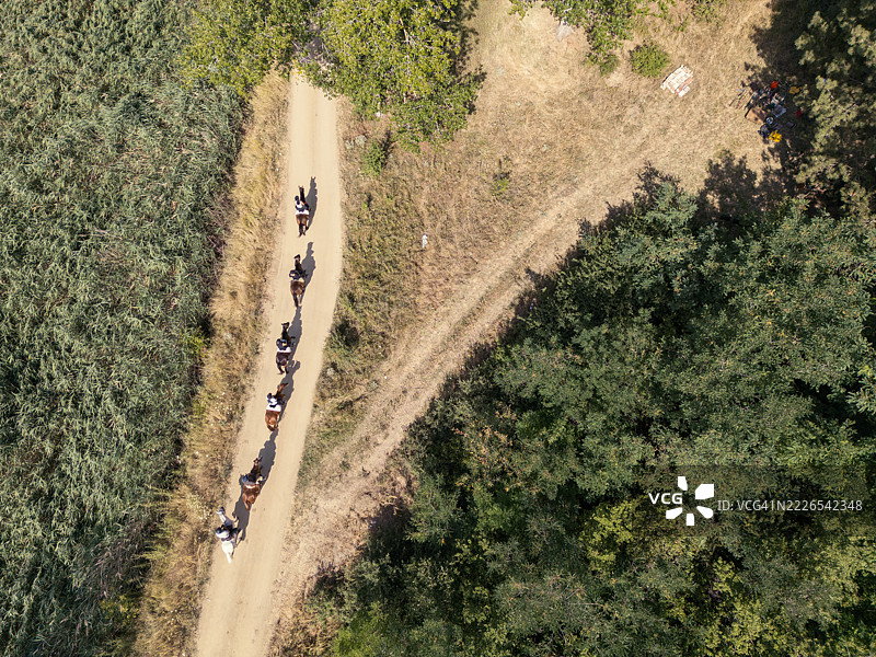 一群骑马者在乡村风景的小径上骑行图片素材