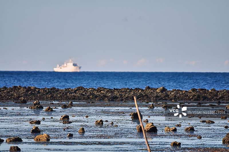 宁静的海岸场景，水面映照着细长的树枝。图片素材