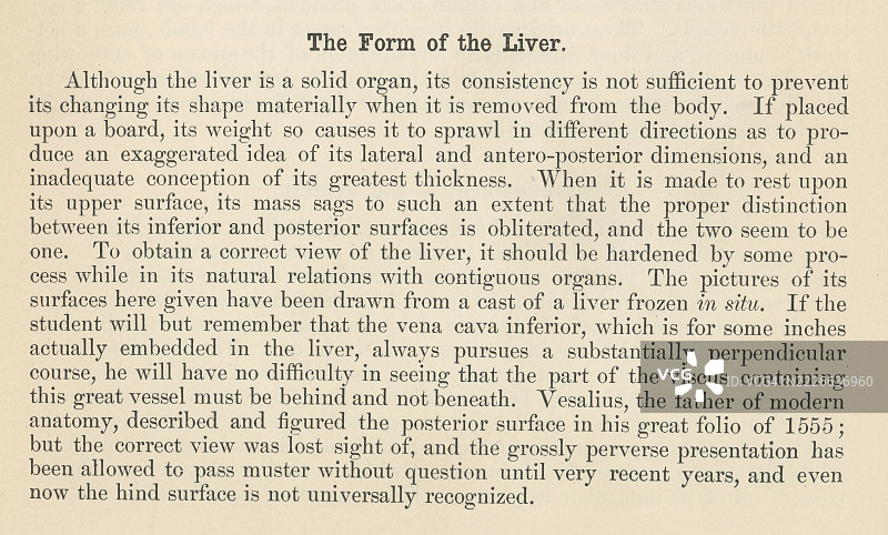 旧版雕刻插图，展示一本人体解剖书中关于肝脏的页面，主要由韧带网络、腹膜及其与周围器官和结构的连接支撑。图片素材