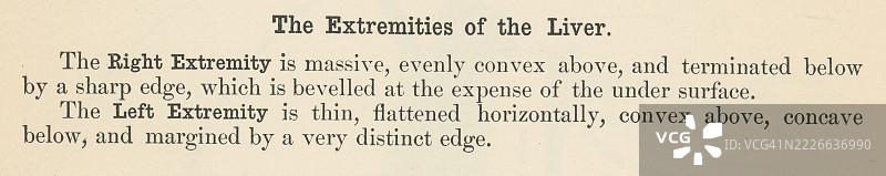 旧版雕刻插图，展示一本人体解剖书中关于肝脏的页面，主要由韧带网络、腹膜及其与周围器官和结构的连接支撑。图片素材