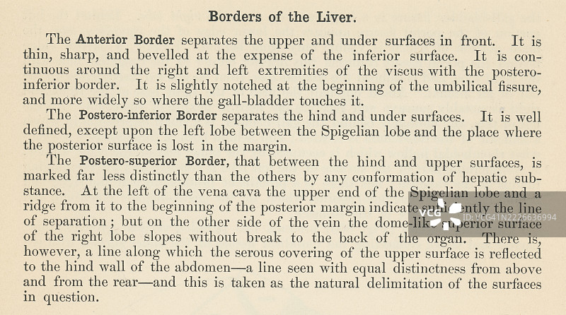 旧版雕刻插图，展示一本人体解剖书中关于肝脏的页面，主要由韧带网络、腹膜及其与周围器官和结构的连接支撑。图片素材