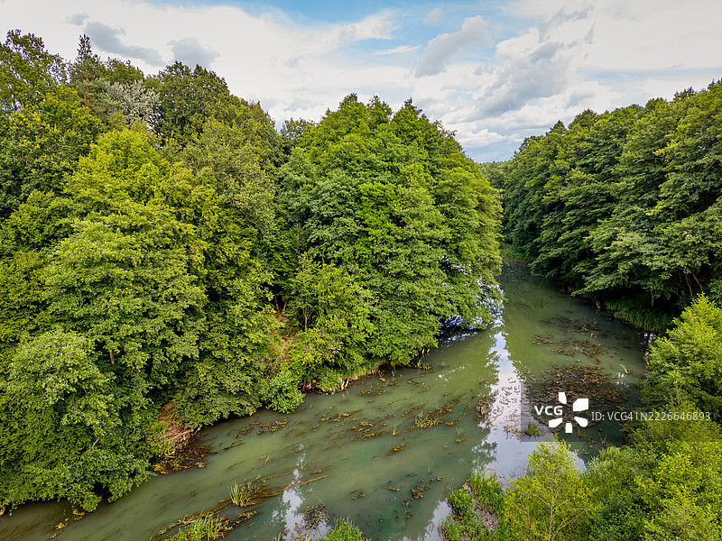 一条浑浊的绿色河流穿过茂密的森林图片素材