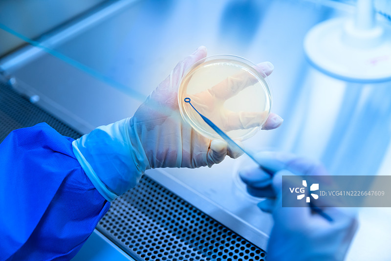 科学家在实验室的生物安全柜中进行科学实验。图片素材