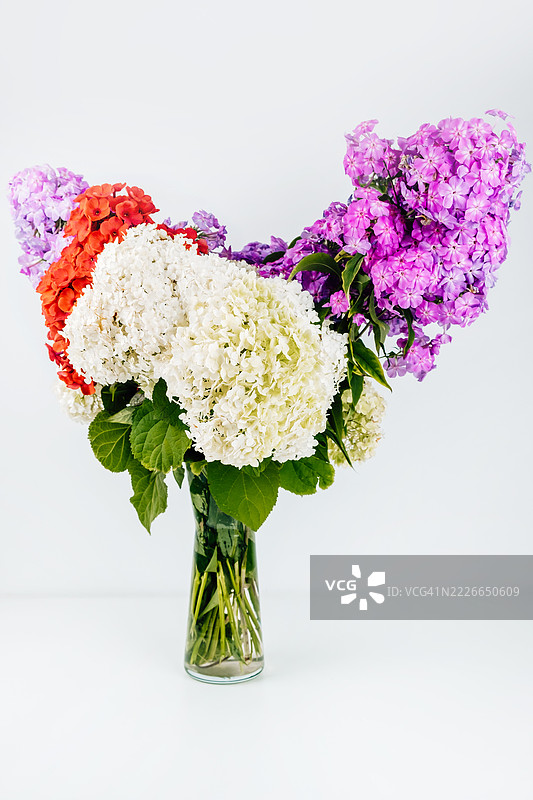 绣球花和福禄考的特写，明亮的花束，留有文字空间，满幅画面。图片素材