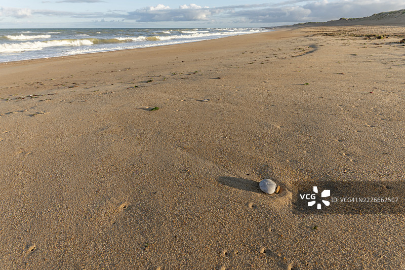 柔软的金色沙滩在日落时分延伸至海岸，温柔的海浪轻轻拍打着海岸线，沙中静静地嵌着一只孤独的贝壳。法国旺代省奥朗海滩。图片素材