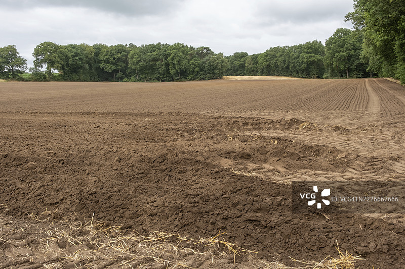 广阔的耕地被郁郁葱葱的森林环绕，天空多云图片素材
