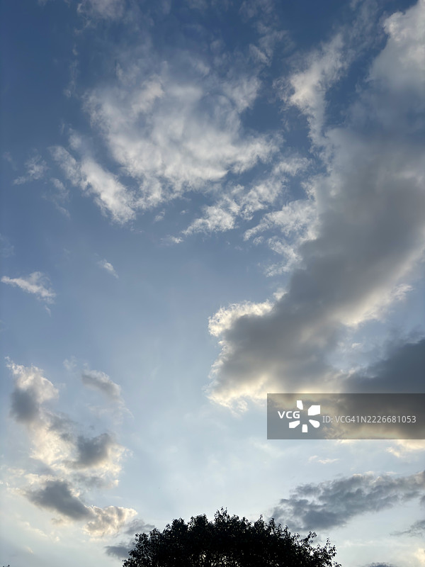 低角度视图的树木与天空，马杜赖，泰米尔纳德邦，印度图片素材