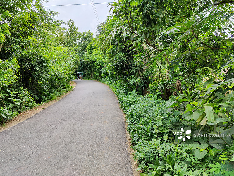 空旷的道路穿过树木，库尔纳，孟加拉国图片素材