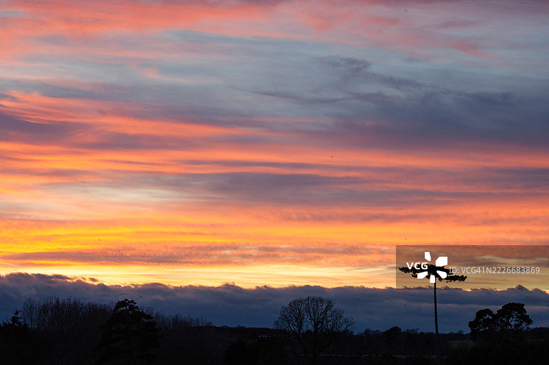 日落时分，树木的剪影映衬在天空中，科尔切斯特，英国图片素材