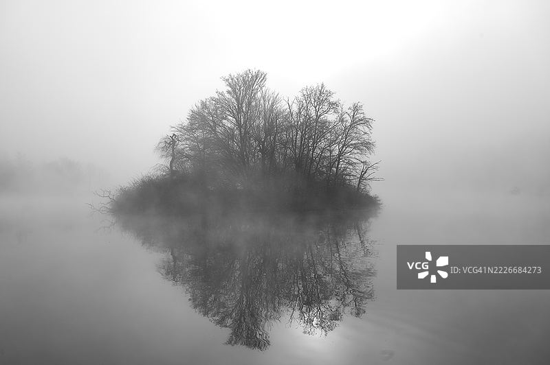 德国博胡姆湖边的树木与天空图片素材