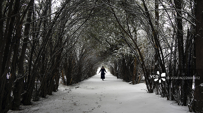 在土耳其埃尔津詹，树木间的雪覆盖道路上行走的人背影图片素材