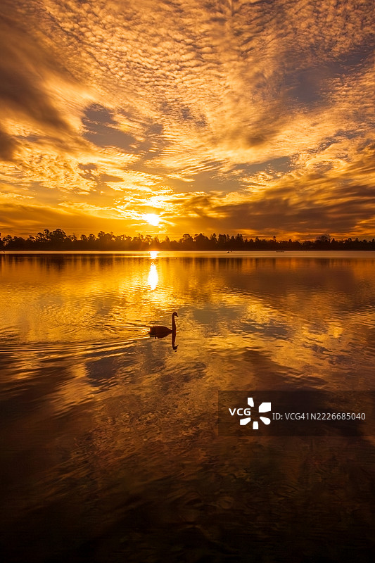 湖泊与橙色天空的美丽景色，巴拉拉特，维多利亚州，澳大利亚图片素材