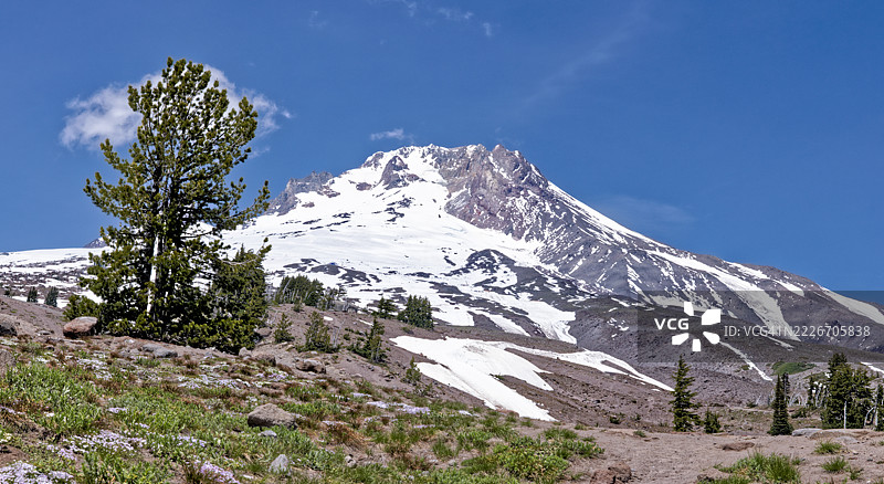 夏季的胡德山图片素材