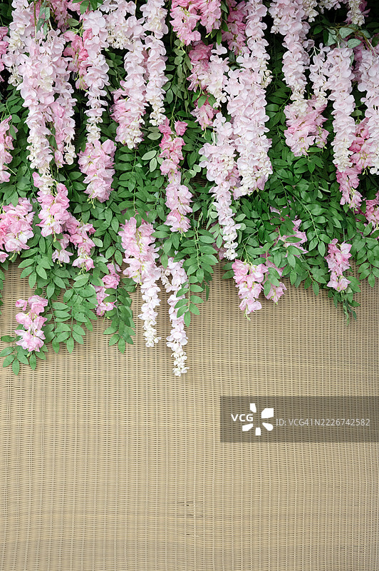 一面覆盖着粉色和绿色藤蔓的墙壁图片素材